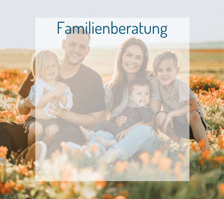 Familienberatung (3) Familienberatung (3)