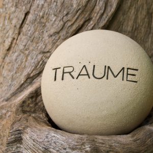 Wort "Träume" auf runder Keramik, alte Holzwurzel